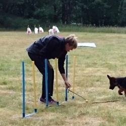 Sommerafslutning 2016