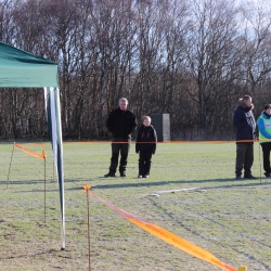 Prøver 2015