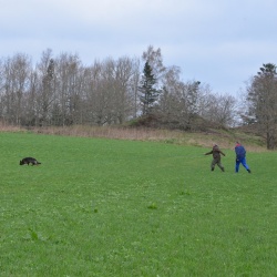 Forår 2014